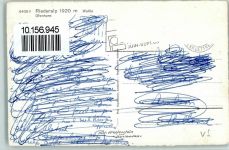 3987 Riederalp - Ortsansicht mit Ofenhorn