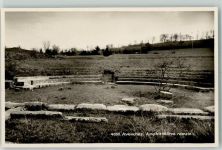 1580 Avenches - Amphithéâtre romain