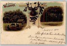 8135 Langnau am Albis 1899 Lithographie Wildpark Hirsch Carl Künzli Zürich Dep. Nr. 1122