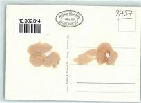 Lüderenalp Gebrauchsspuren Kurhaus