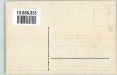 9000 Bruggen Foto AK Bezirkssängerfest 1909