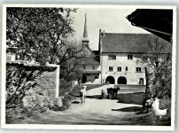 8608 Bubikon Foto AK Schafe Huhn Foto Honegger