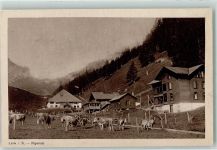 3775 Lenk im Simmental Gebrauchsspuren Sennhütten Ifigenalp Kuhherde