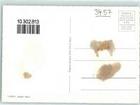 Lüderenalp Gebrauchsspuren Kurhaus