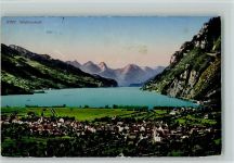 8880 Walenstadt - Panoramaansicht