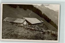 8762 Schwanden GL Foto AK Kühe auf der Weide Ort lt. Stempel
