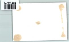 3532 Zäziwil FOTO KEINE AK Neujahr Foto 10cm x 7cm, rückseitig Haftspuren