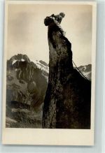 6482 Gurtnellen Foto AK Gratturm Sonnigwichel Foto Gaberell Ort lt. Recherche