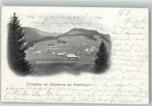 6197 Schangnau 1904 Foto AK Südabhang des Wachthubel