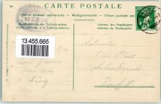 8496 Steg im Tösstal 1912 Prägedruck Gams Kühe Wappen Hörnli Kulm Lithographie