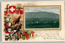 4537 Wiedlisbach 1903 Prägedruck Wappen Gemse Gebr. Metz No. 19522