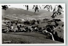 3158 Guggisberg 1945 Foto AK Panorama AK