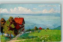 Vögelinsegg Künstlerkarte Paolo Kutscha Die Schweiz Vögelinsegg Blick auf den Bodensee