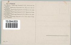 Vögelinsegg Künstlerkarte Paolo Kutscha Die Schweiz Vögelinsegg Blick auf den Bodensee