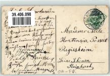 Le Plâne - Moleson Kuhherde