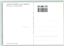 4302 Augst BL - Augusta Raurica Römerhaus Gewerbehalle