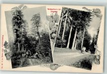 3153 Rüschegg Gambach 1908 - Waldpartien Längeney