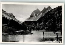 Piz Palpuogna Foto AK Zwillinge See Foto Jehli