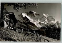 3823 Wengen Foto AK Blick gegen Jungfrau