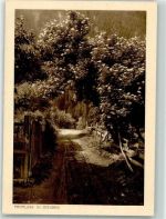 7220 Schiers - Heimatbilderserie Frühling