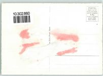 Gantrisch Gebrauchsspuren Bürglen Ochsen Winter