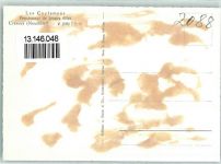 2088 Cressier NE Gebrauchsspuren Fliegeraufnahme