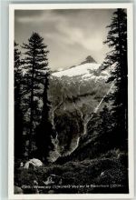 Wasenalp - Bortelhorn