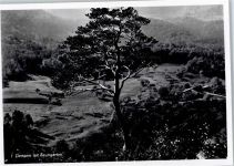 4145 Gempen - Baumgarten