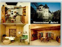 5705 Hallwil - Schloss