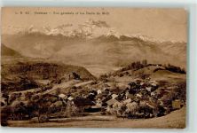 1884 Huémoz Gebrauchsspuren Dents du Midi