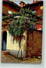 6600 Muralto 1915 - Photochromie Serie 189 Nr. 3244