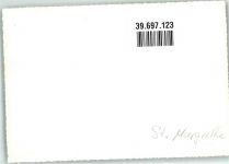 9430 St. Margrethen SG FOTO KEINE AK Ort handschriftlich Kapelle