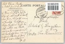 1820 Territet - Hotel Mont Fleuri