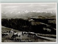 Lüderenalp Gebrauchsspuren Alpenkette