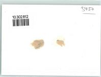 Lüderenalp Gebrauchsspuren Alpenkette