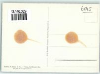 6045 Meggen Gebrauchsspuren Fliegeraufnahme