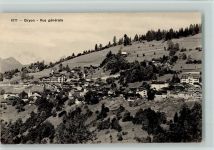 1882 Gryon - Vue générale