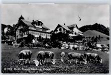 3624 Goldiwil (Thun) - Hotel Pension Blümlisalp