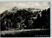 3752 Wimmis - Niesen