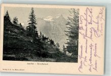 6461 Isenthal 1920 - Urirotstock