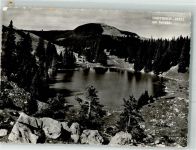 Gantrisch Foto AK Gantrisch-Seeli