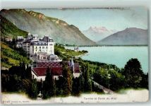 1820 Territet 1911 Gebrauchsspuren Dents du Midi