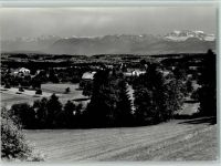8132 Egg bei Zürich - mit den Alpen