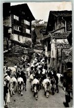 3984 Fiesch - Auszug der Ziegen
