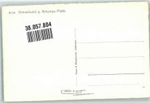 3818 Grindelwald Foto AK Schynige Platte