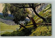 7551 Ftan - Bäume Phytine Serie III/2