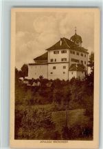 8627 Grüningen - Schloss Grüningen