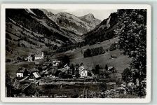 7326 Weisstannen - Gonzen Gauschla