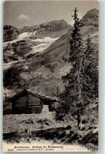 1865 Les Diablerets Ormont-Dessus 1910 - Chalet du Preserman