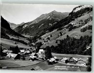7326 Weisstannen Foto AK Ringgenberg Foto Gross